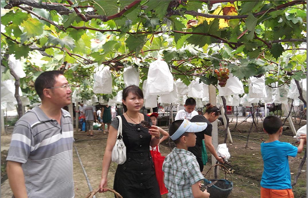 BC贷·(中国区)官方网站