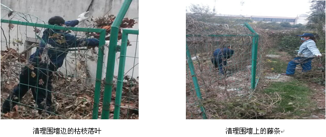 BC贷·(中国区)官方网站