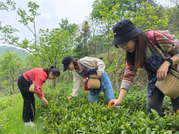 BC贷·(中国区)官方网站