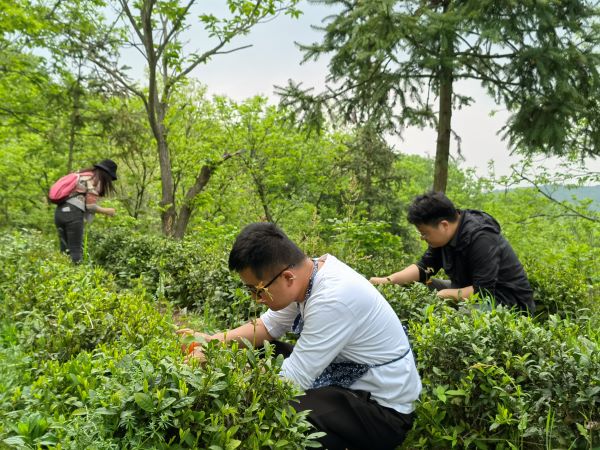BC贷·(中国区)官方网站